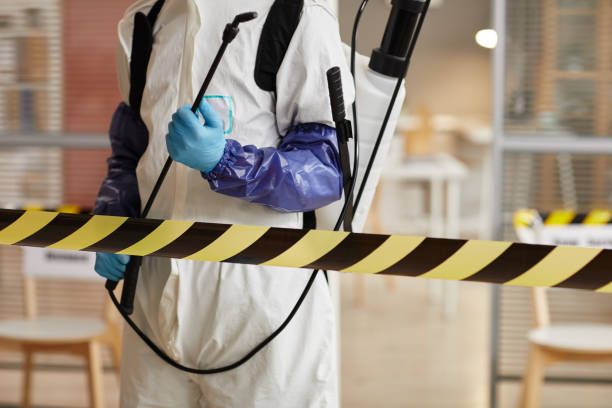 Professional Sewage Cleanup technician working in Tilton, NH